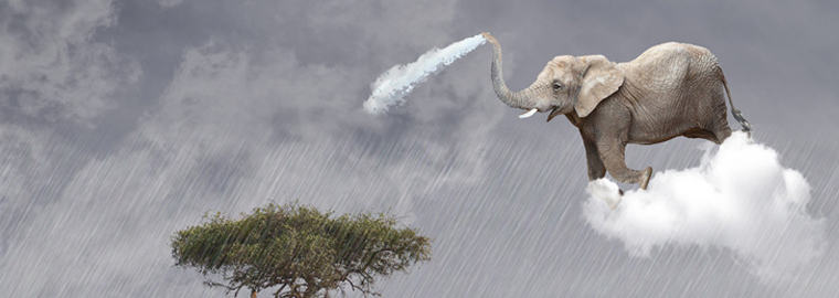 专利名称:降雨径流预报系统